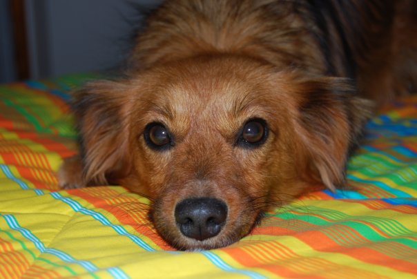 LUCY - 31/03/2012