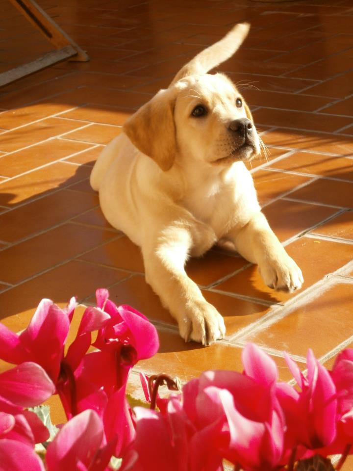 MAYA - 31/03/2012