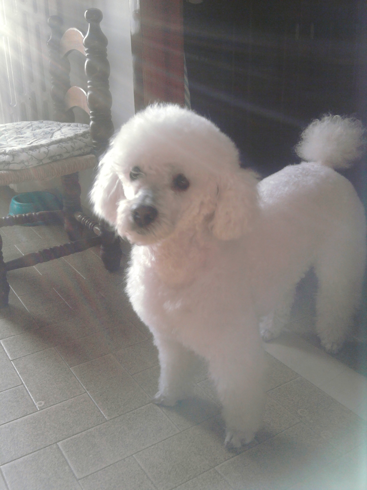 NAPOLEONE - 31/03/2012