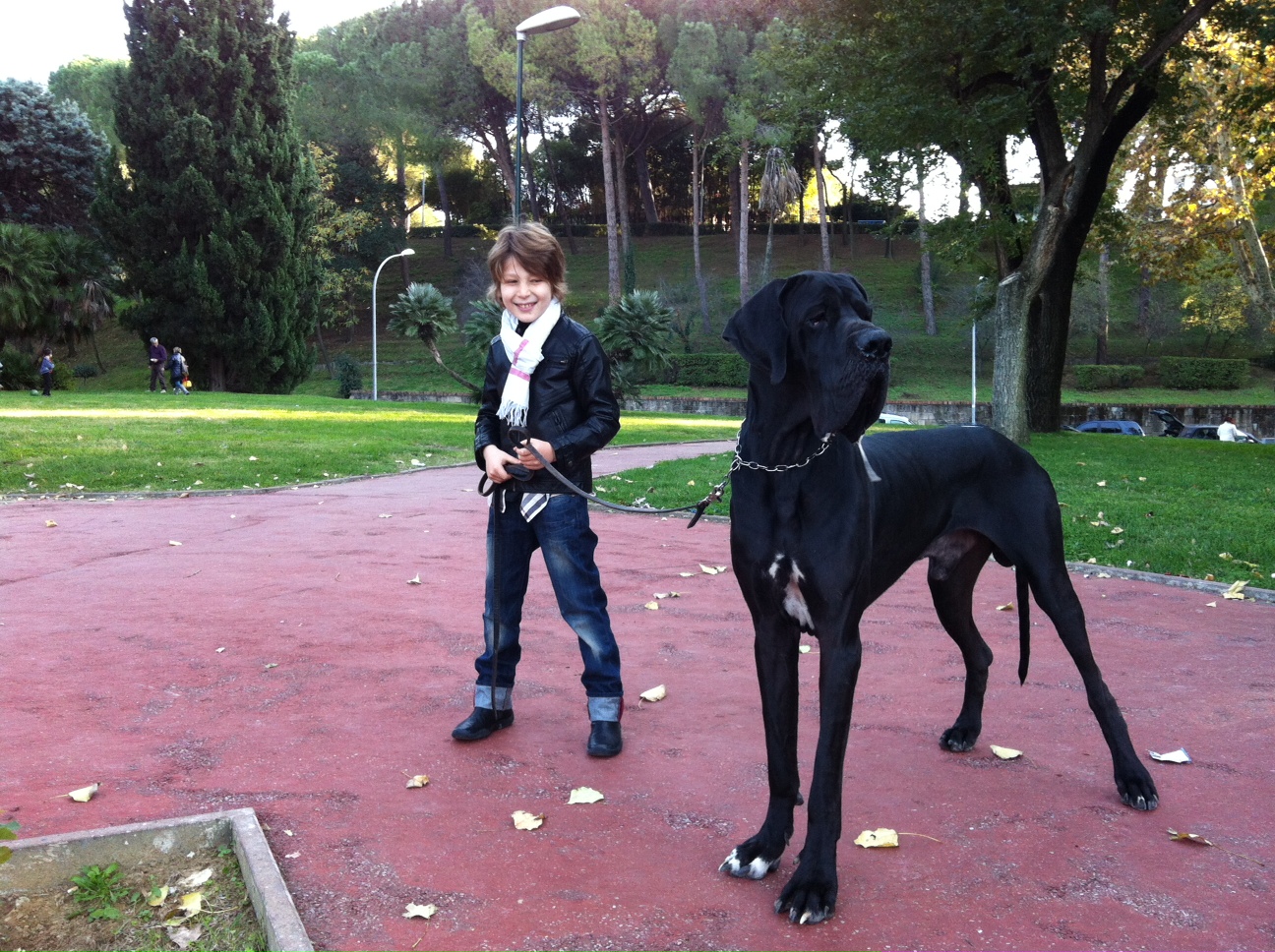 OTTO - 31/03/2012