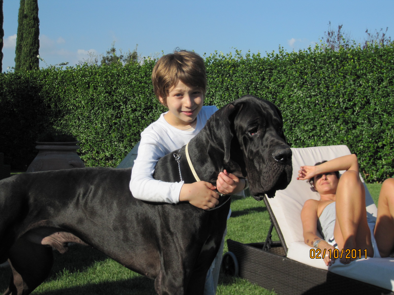 OTTO - 31/03/2012