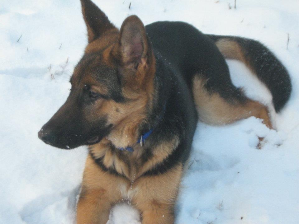 PEGGY - 31/03/2012