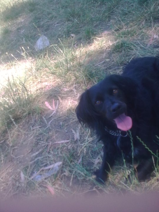PENELOPE - 31/03/2012