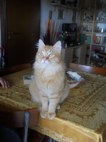 PENNY - 31/03/2012