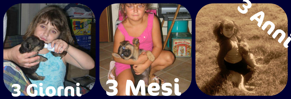 PICNIK - 31/03/2012