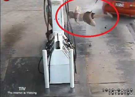L'auto si porta via la pompa di benzina e la ragazza - VIDEO - 27/05/2013