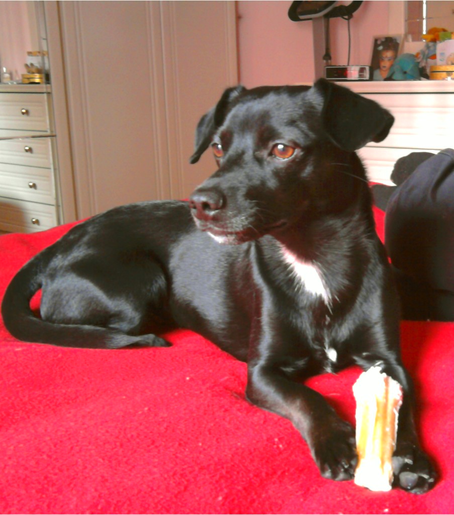 POTTY - 31/03/2012