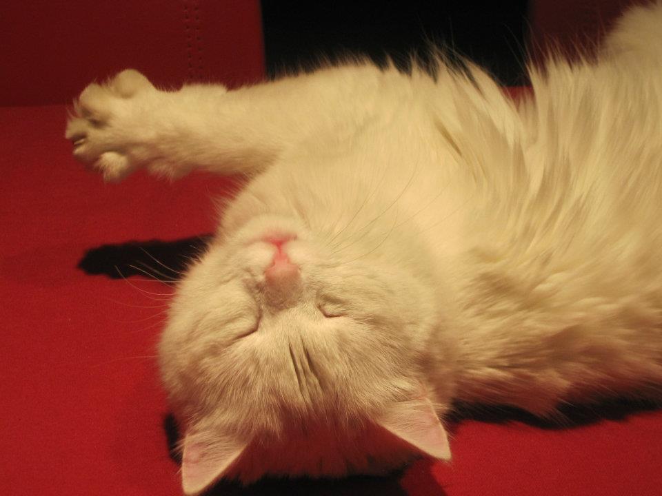 PRINCY - 31/03/2012