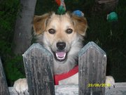 PUZZETTA - 31/03/2012