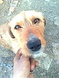 RAJA - 31/03/2012