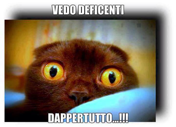 Immagine Divertente - 16/09/2013