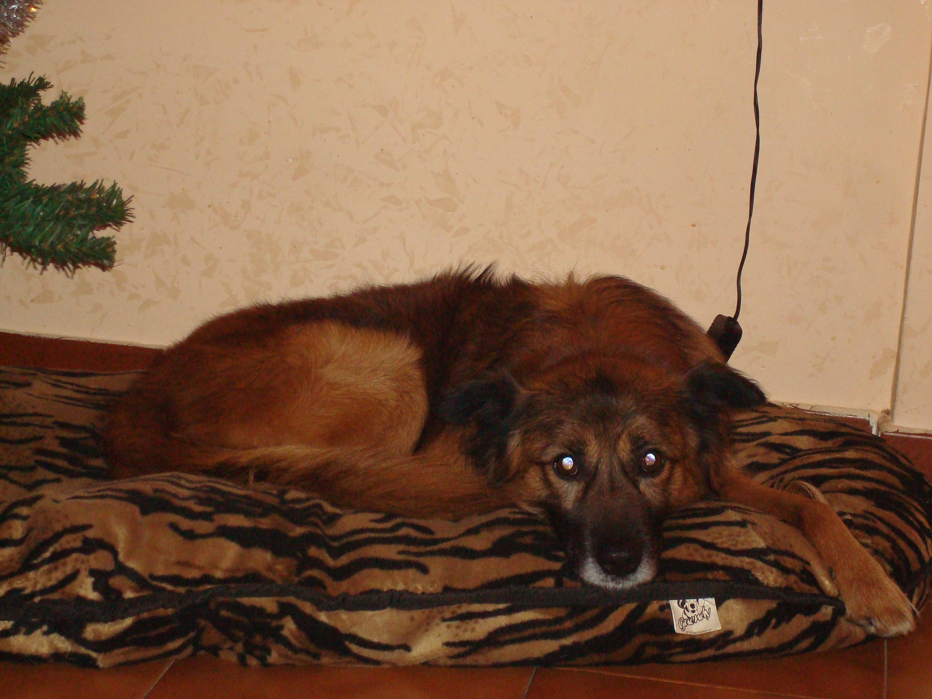 RUSTY - 31/03/2012