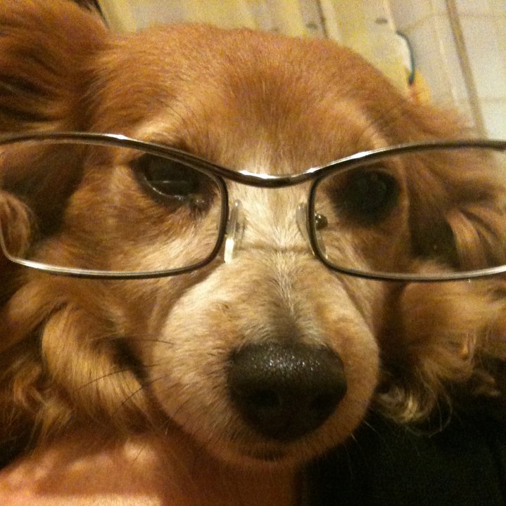 SALLY - 31/03/2012