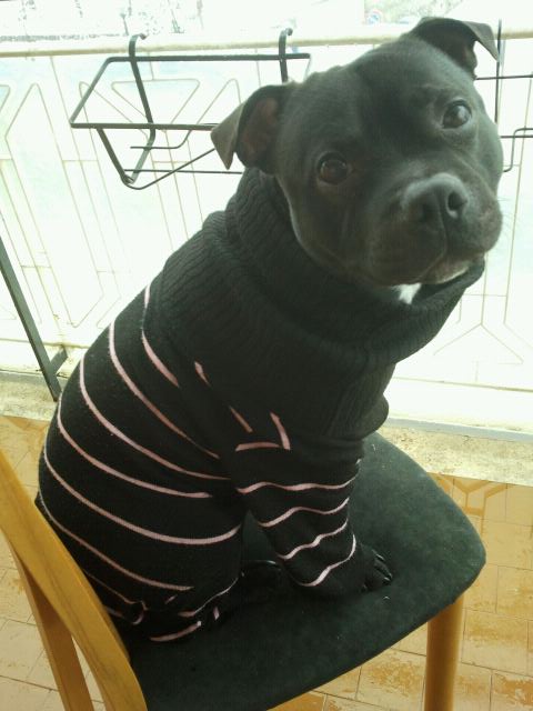 SPIKE - 31/03/2012
