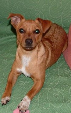STELLA - 31/03/2012