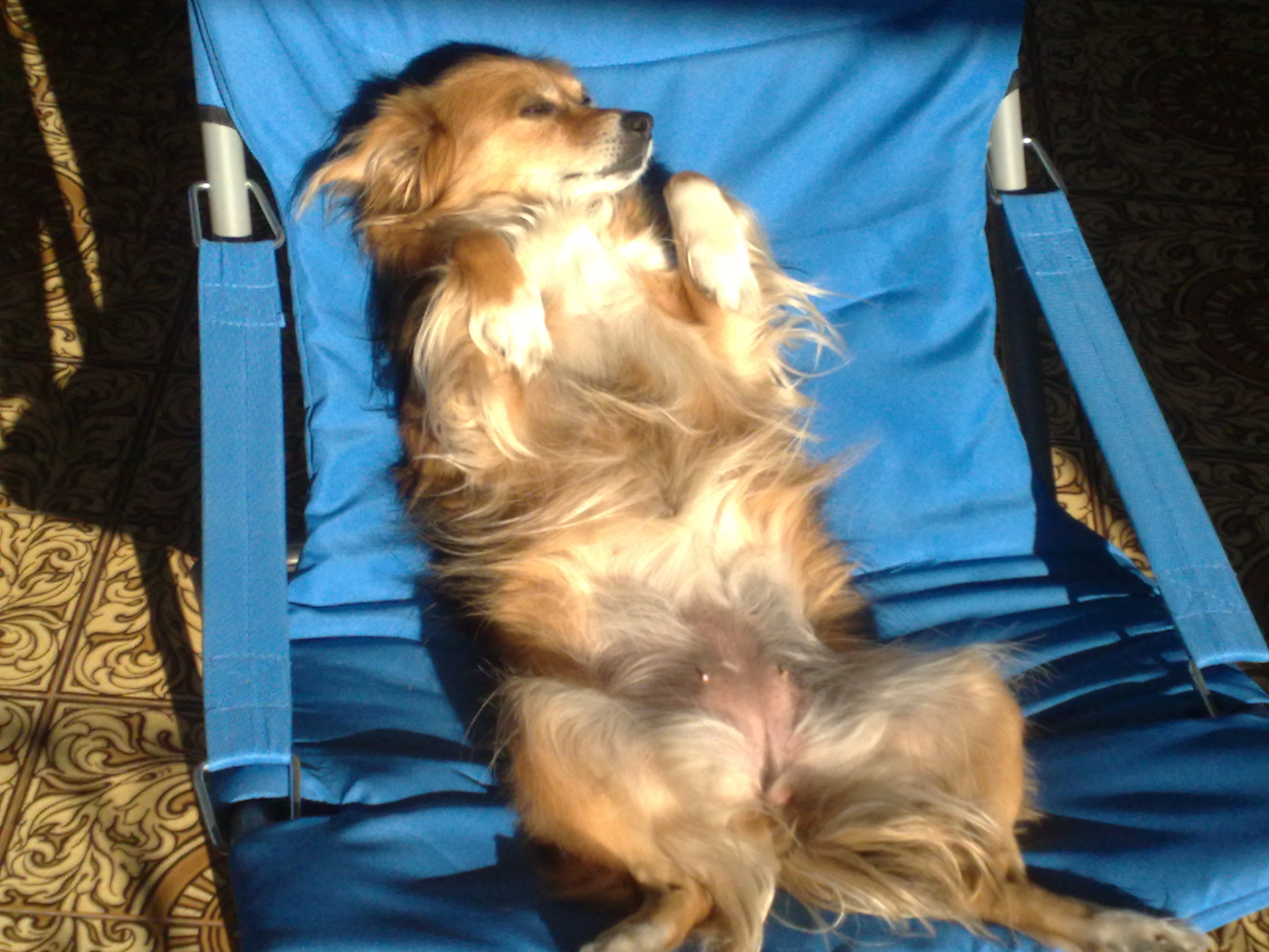 SUSY - 31/03/2012