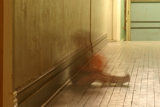 ''CORRETE, MIO FIGLIO E' POSSEDUTO DA UN FANTASMA''. CARABINIERI E MEDICI ASSISTONO A SCENE DA FILM - 23/04/2015