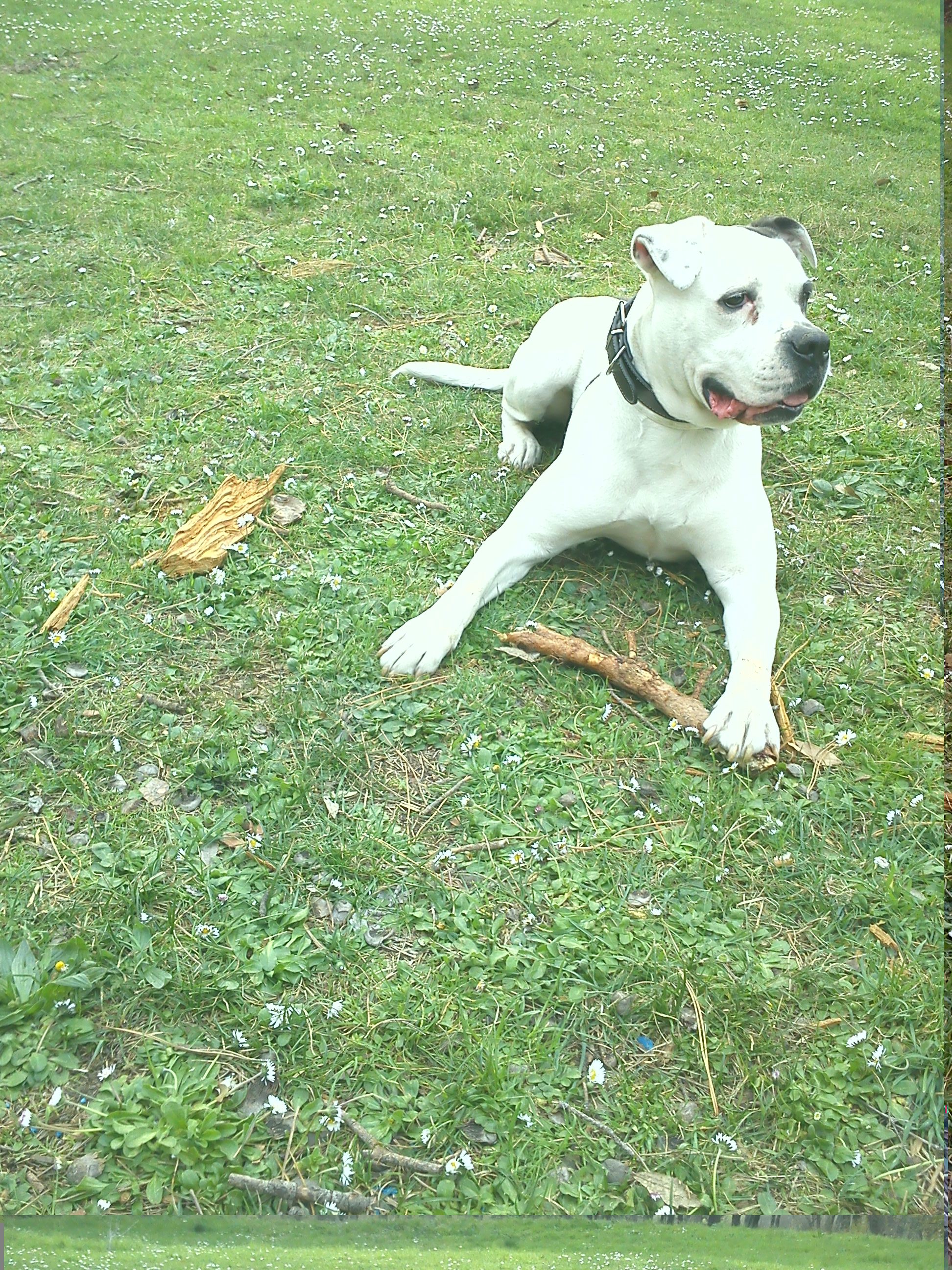 TEKILA - 31/03/2012