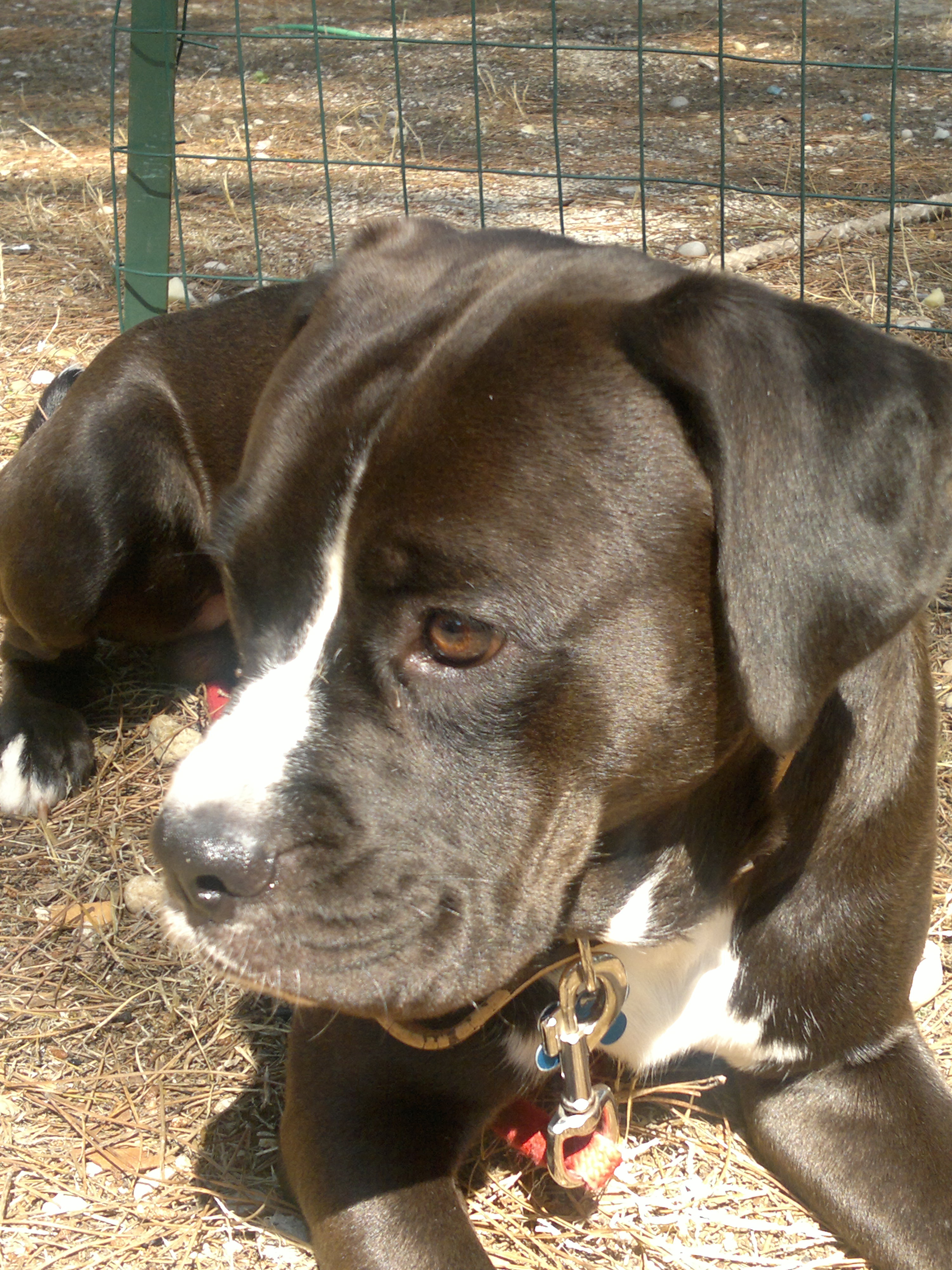 TITO - 31/03/2012