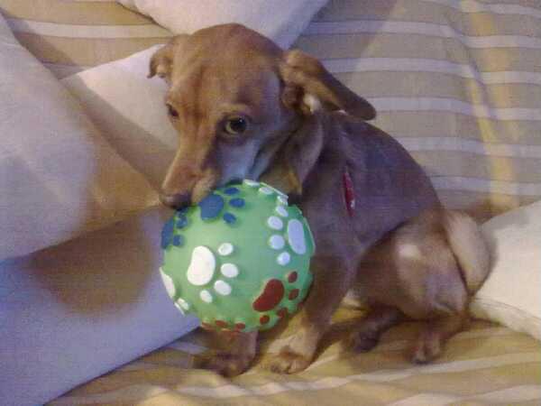 TOBIA - 31/03/2012