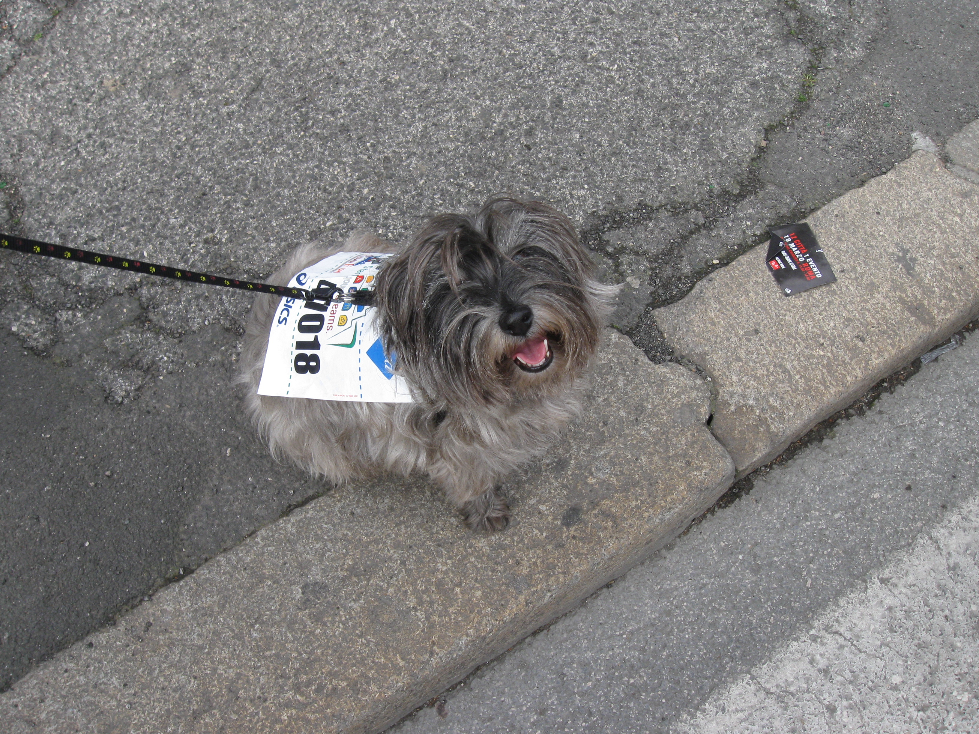 TROTTOLINA - 31/03/2012