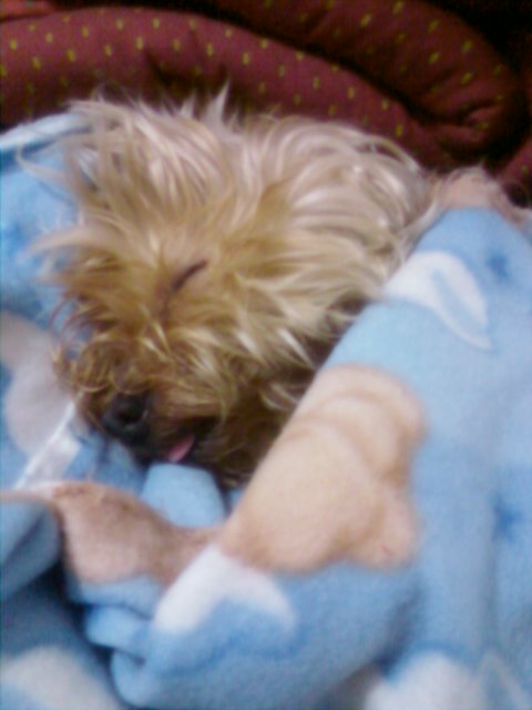 WILLY - 31/03/2012