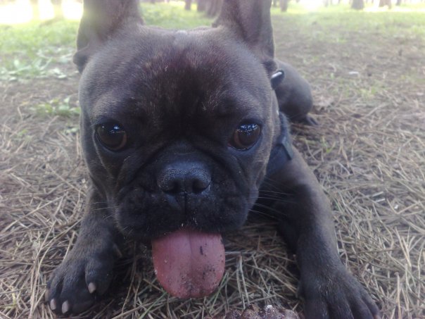 ZOE - 31/03/2012