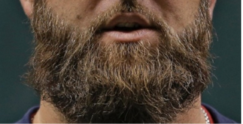 LA BARBA LUNGA CONTIENE PIU' BATTERI DI UN WC - 14/12/2015
