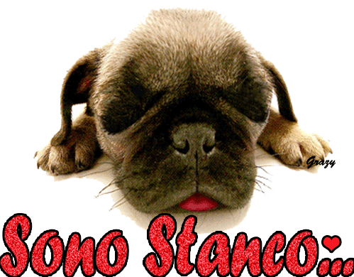 NUN JE LA POSSO FA !! - 02/04/2013