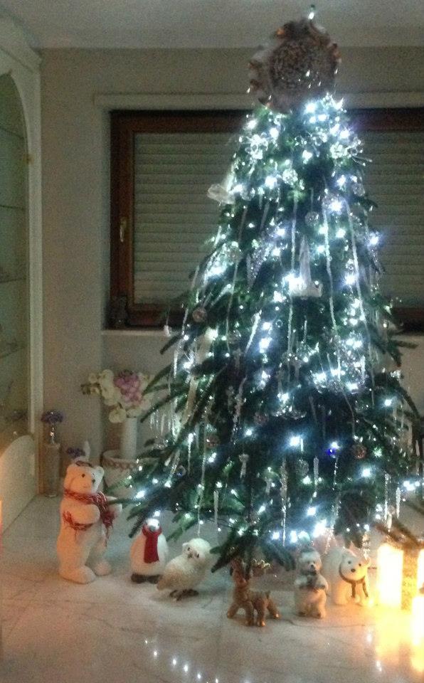 Americana M.C. - 22/12/2012