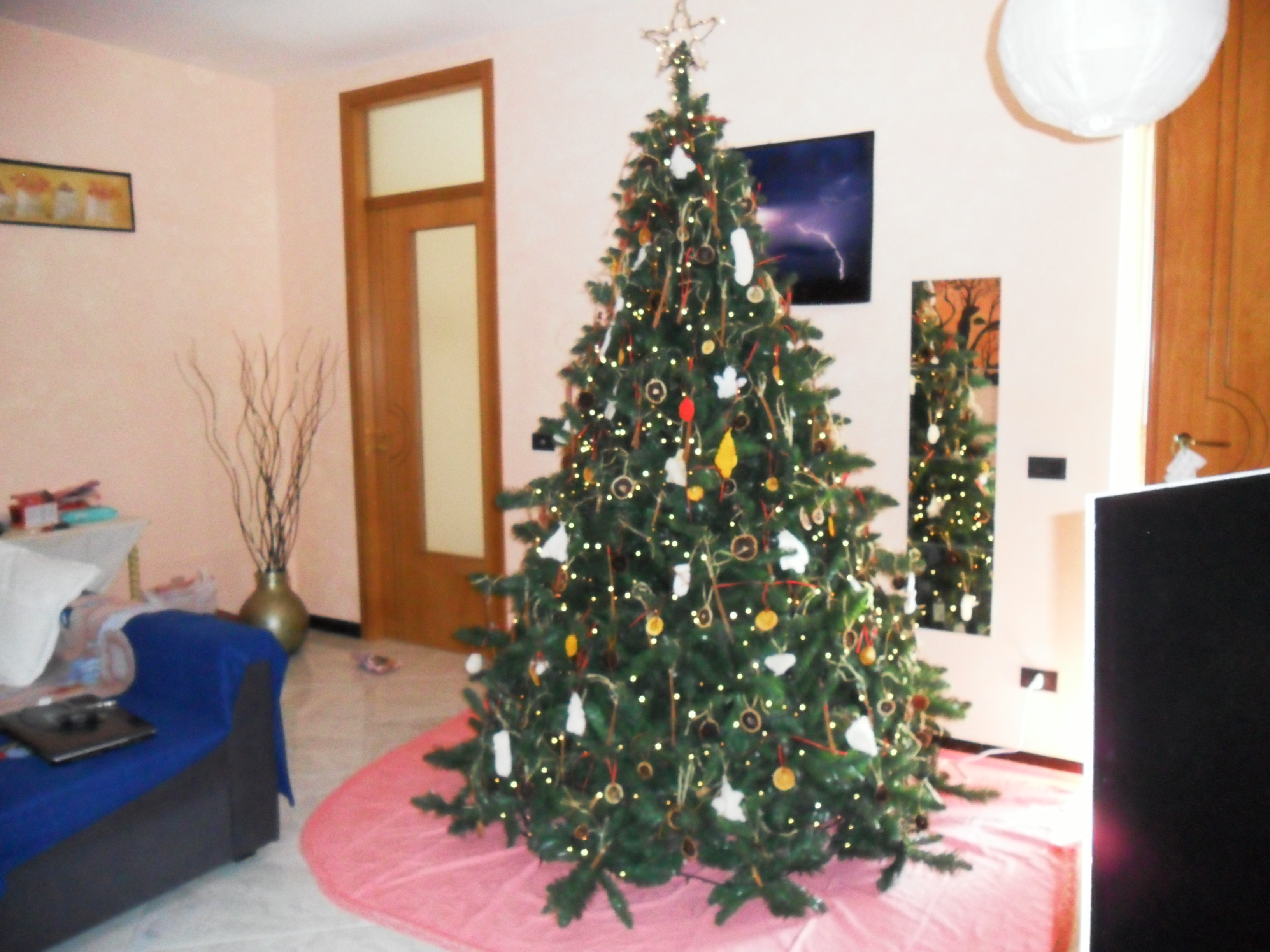 Antocool - 22/12/2012