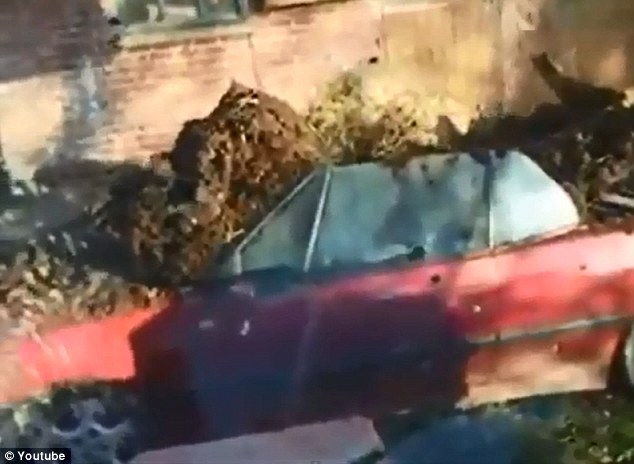 SOSPETTA CHE LA MOGLIE LO TRADISCA: ''LE RIEMPE LA MACCHINA DI LETAME'' - VIDEO - 16/07/2013