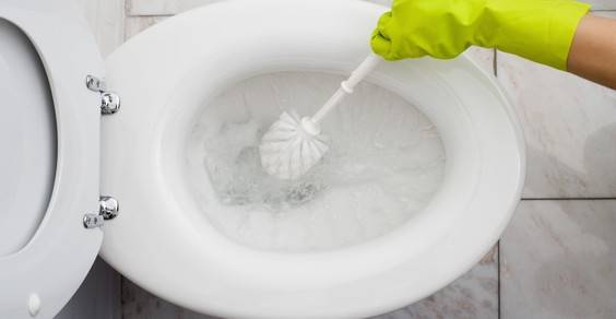 ATTENZIONE AL WATER INTASATO: ECCO LA SCOPERTA TERRIBILE FATTA DA UNA FAMIGLIA - GUARDA - 11/06/2015