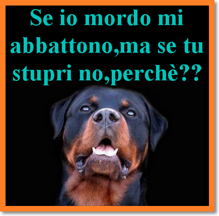 Immagine Divertente - 28/05/2013