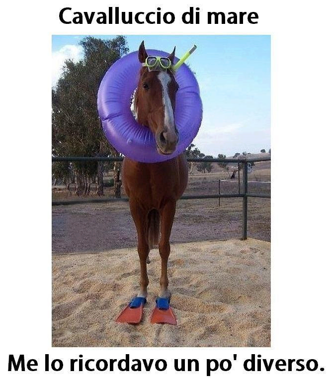 Immagine Divertente - 10/07/2013