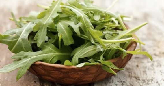 RUCOLA: DOPO AVER LETTO QUESTO NON SMETTERETE PIU' DI MANGIARLA - 22/06/2016