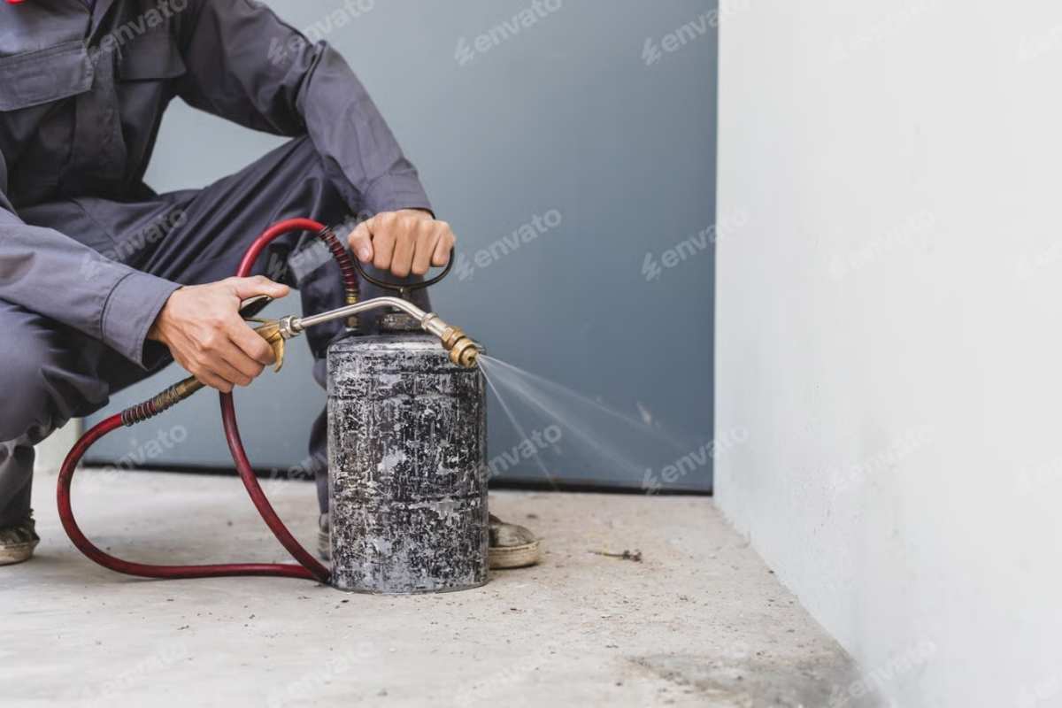 Disinfestazione Roma: quando richiederla, costi e ditte certificate - 11/12/2025