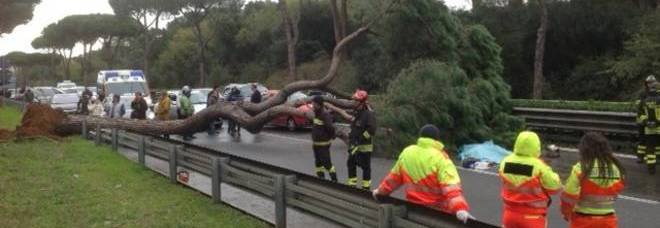 ROMA- MALTEMPO, MOTOCICLISTA MUORE SCHIACCIATO DA UN ALBERO SRADICATO DAL VENTO - 01/12/2013
