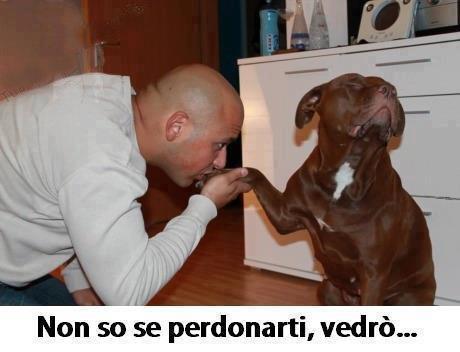 Immagine Divertente - 06/03/2013