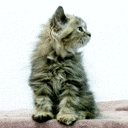 CHE ME STAI A CHIAMA ?! - 24/05/2012