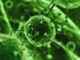 UN NUOVO VIRUS PIU' LETALE DELLA 'SARS'. GIA' 11 VITTIME - 30/03/2013