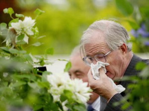 NUOVO VIRUS MORTALE ARRIVA IN EUROPA: 'OTTO VITTIME, UNA IN INGHILTERRA - 10/03/2013