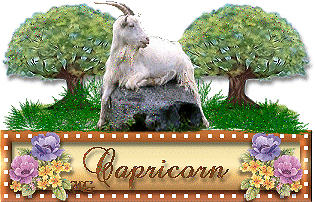 OROSCOPO ROMANO: CAPRICORNO !! - 18/03/2012