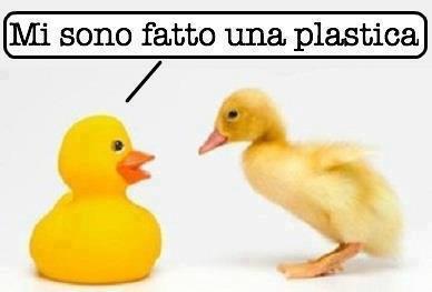 Immagine Divertente - 25/01/2013