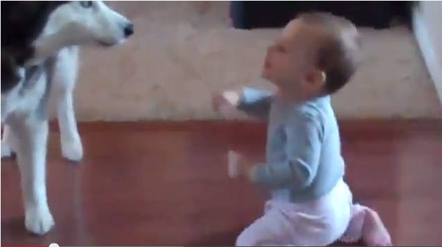 Bimbo parla con il suo cane, incredibile - Guarda il video - 16/04/2013