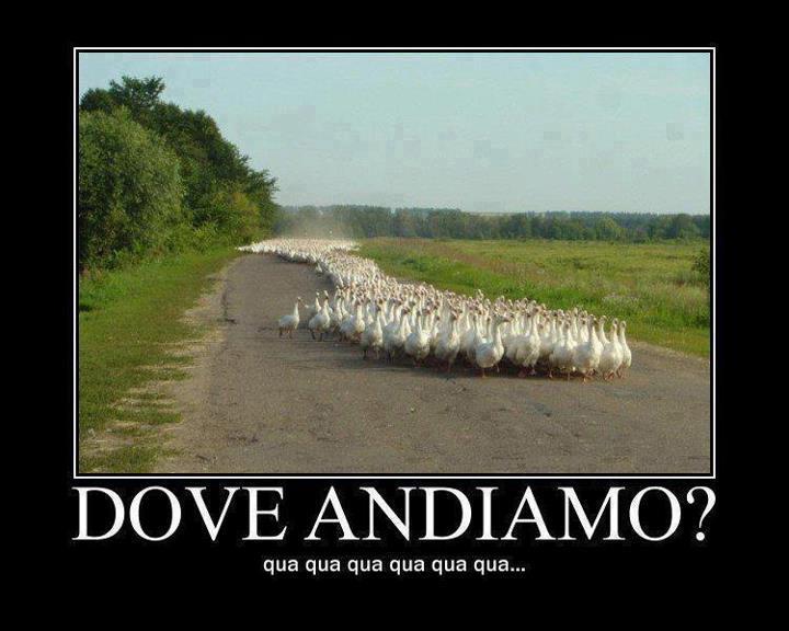 Immagine Divertente - 06/03/2013