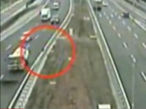 UN CANE RISCHIA LA PROPRIA VITA PER SALVARE UN ''AMICO'' FERITO - IL VIDEO CHE STA FACENDO IL GIRO DEL WEB - 03/07/2013